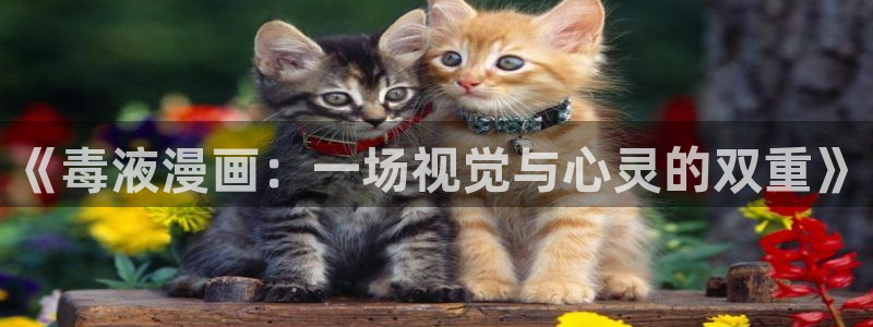 漫蛙好看的漫画