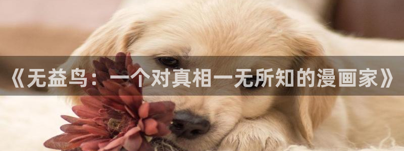 漫蛙 正版下载：《无益鸟：一个对真相一无所知的漫画家》